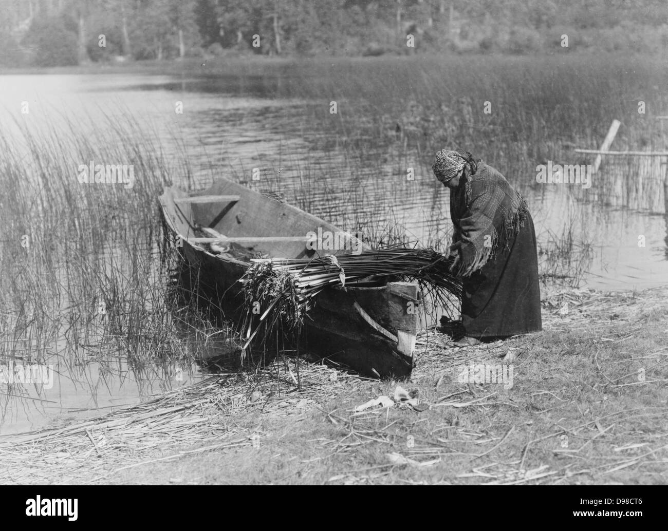 Cowichan donna mettendo tule (giunchi) in barca, c1910. Fotografia di Edward Curtis (1868-1952). Foto Stock