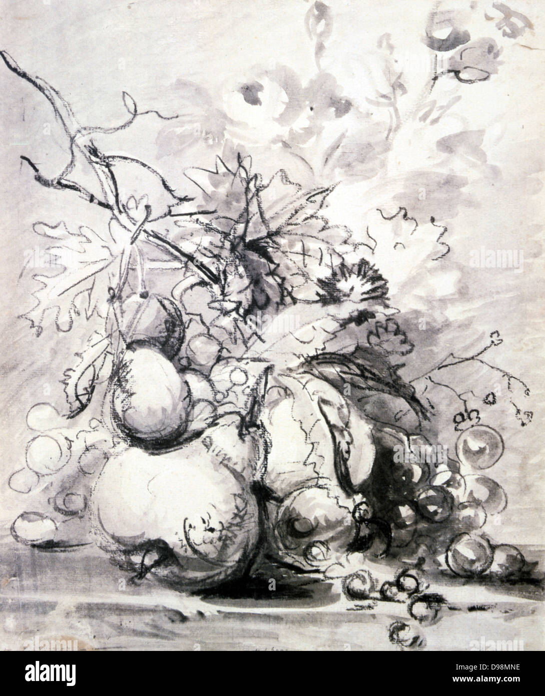 Vita tranquilla con frutte. Charlocal e grey wash. Jan van Huysum (1682-1749) pittore olandese e il relatore. Foto Stock