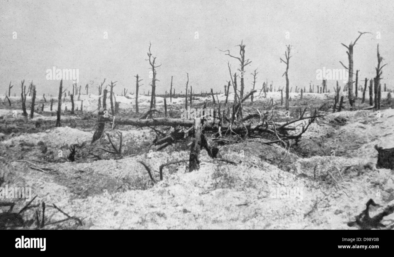 I Guerra Mondiale 1914-1918: il bosco a Mesnil-les-haut, Francia, ridotti a scheletri di alberi da arma da fuoco. Da 'Le Flambeau", Parigi, Settembre 1915. Distruzione di bombardamento Foto Stock