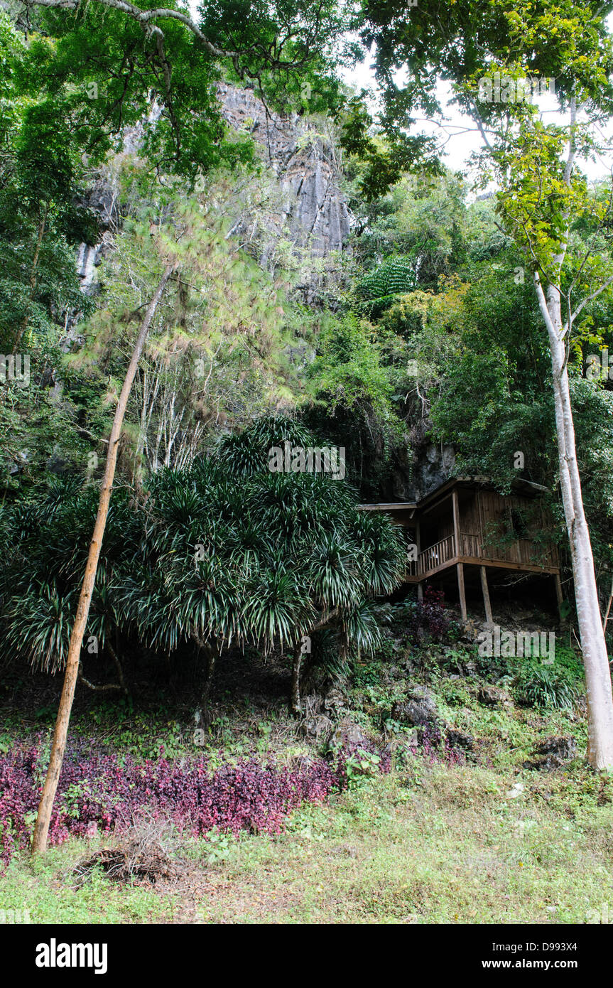 VIENG XAI, Laos - il Pathet Lao Grotte di Vieng Xai in provincia Houaphanh nel nordest del Laos. Fu in queste grotte naturali profondo in formazioni carsiche che il Pathet Lao evitato di leadership americana costanti bombardamenti durante la Guerra del Vietnam. Foto Stock