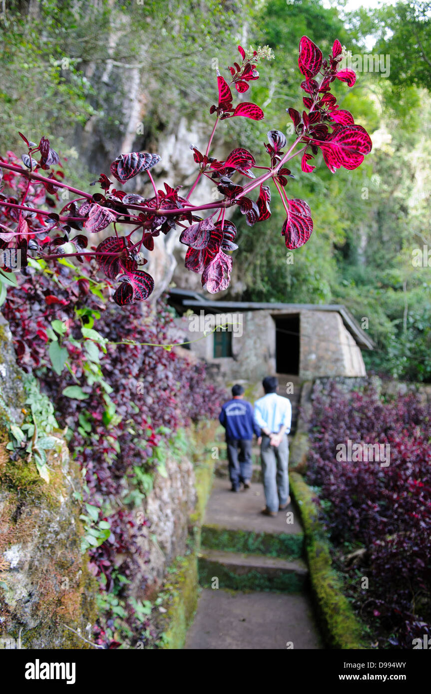 VIENG XAI, Laos - Un ingresso discreto conduce in uno dei complessi rupestri di Vieng Xai, che serviva come quartier generale e rifugio per le forze comuniste Pathet Lao durante la seconda guerra d'Indocina dal 1964 al 1973. L'ampia rete di grotte calcaree in questa remota area della provincia di Houaphanh ha fornito rifugio a un massimo di 23.000 persone, tra cui la leadership di Pathet Lao, durante il periodo di intense campagne di bombardamento degli Stati Uniti. Le grotte ospitavano non solo operazioni militari ma anche scuole, ospedali, teatri e laboratori, creando una città sotterranea che sosteneva il movimento comunista. A. Foto Stock