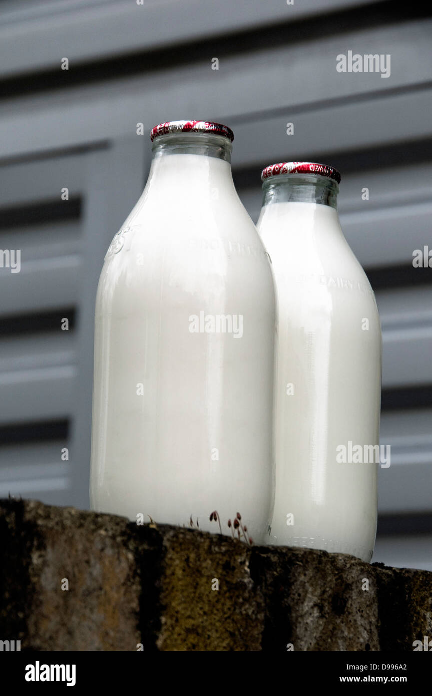 Due bottiglie di latte da pinta con parte superiore rossa in piedi su parete zero rifiuti Foto Stock