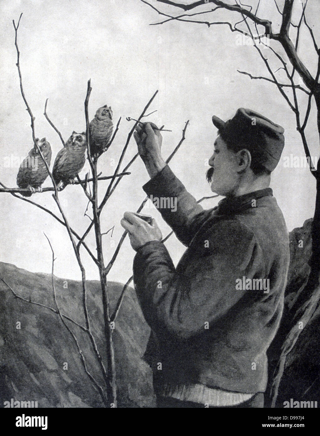 I Guerra Mondiale 1914-1918: soldato francese alleviare la noia in trincee mediante alimentazione di una famiglia di giovani gufi. Da "Le Pays de France", Parigi, 17 giugno 1915. Foto Stock