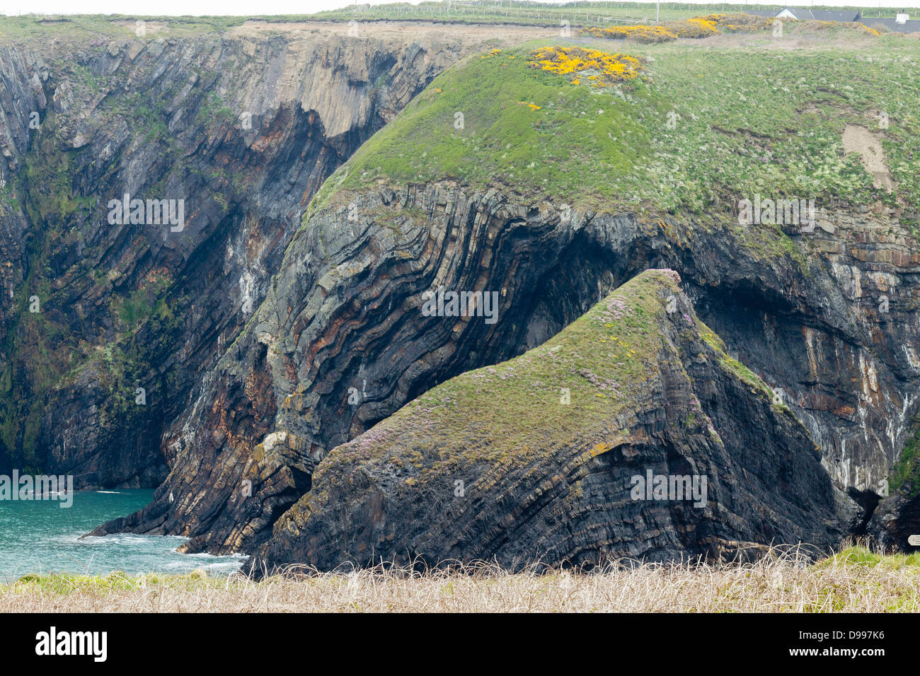 Ripiegate strati di roccia a Ceibwr Bay, Pembrokeshire, Galles. 400 milioni di anni Mudstones Turbidite e arenarie. Foto Stock