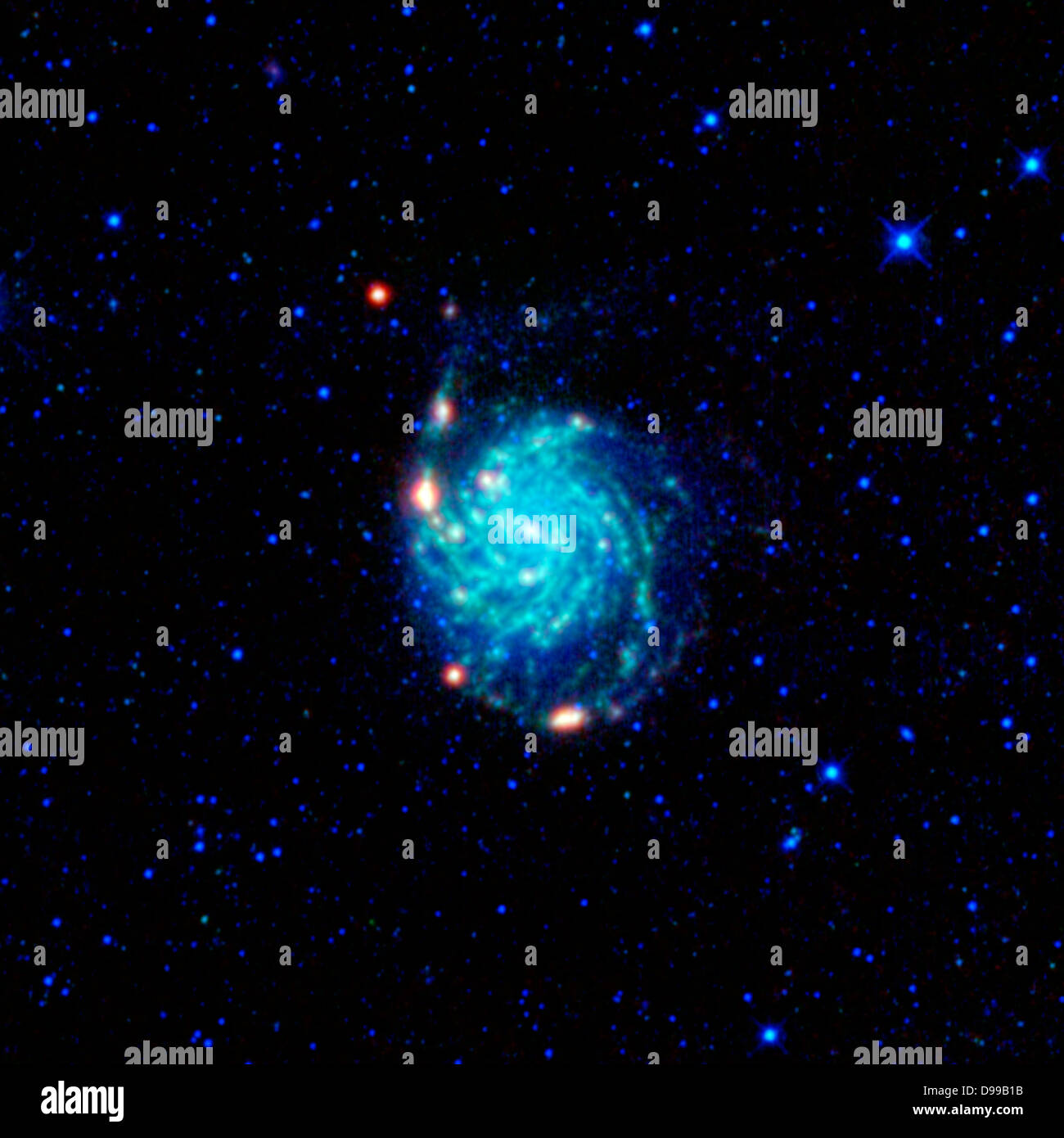 Una grande galassia a spirale domina questa vista dalla NASA il saggio. La girandola di Galaxy. Foto Stock