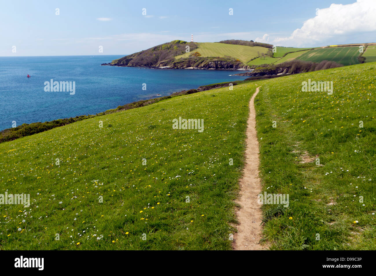 Il Cornish sentiero costiero vicino a Fowey guardando ad ovest di testa Gribben. Foto Stock