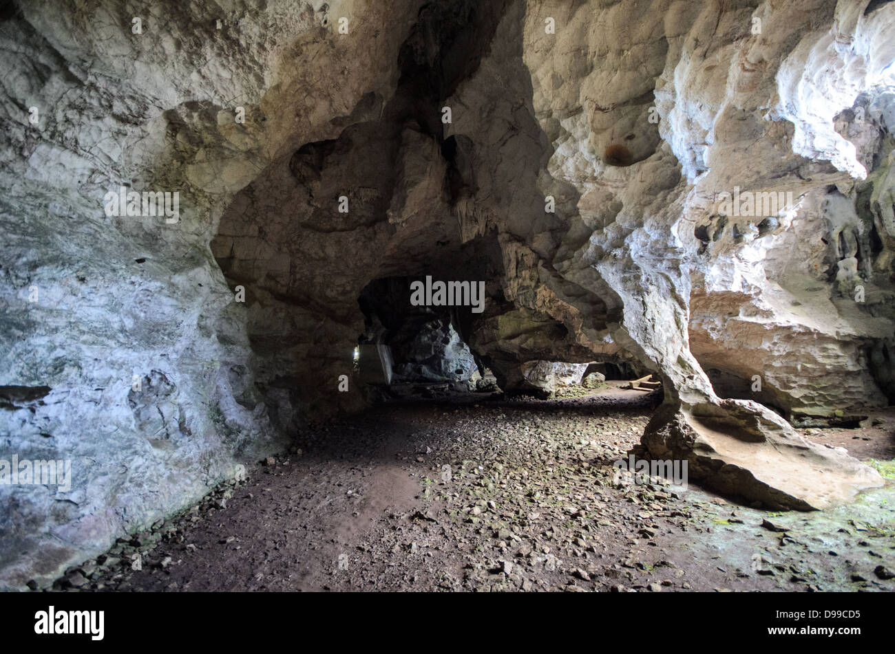 VIENG XAI, Laos: Spettacolari formazioni calcaree sorgono all'interno di una delle più grandi grotte di Pathet Lao nel complesso di grotte di Vieng Xai. Le grotte di Vieng Xai servirono come quartier generale e città nascosta per la leadership di Pathet Lao durante la seconda guerra d'Indocina dal 1964 al 1973. Questa rete di grotte calcaree naturali e modificate ospitava migliaia di persone, tra cui i principali leader del Partito Comunista, che vivevano e lavoravano sottoterra per sfuggire alle intense campagne di bombardamento degli Stati Uniti. Il complesso di grotte è costituito da più di 100 grotte scavate nel paesaggio calcareo carsico del Laos settentrionale. Oggi, molti della CA Foto Stock