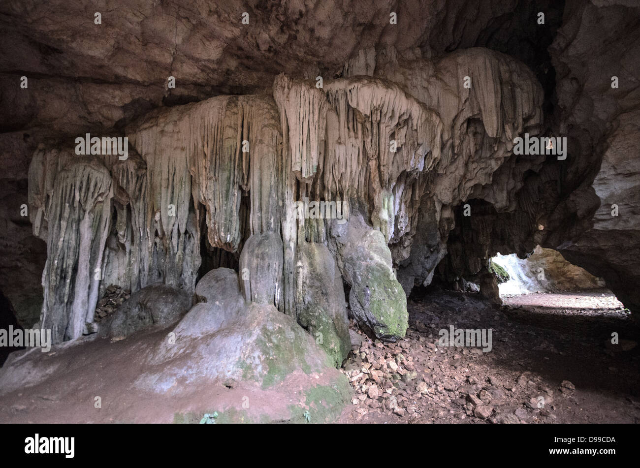 VIENG XAI, Laos: Spettacolari formazioni calcaree sorgono all'interno di una delle più grandi grotte di Pathet Lao nel complesso di grotte di Vieng Xai. Le grotte di Vieng Xai servirono come quartier generale e città nascosta per la leadership di Pathet Lao durante la seconda guerra d'Indocina dal 1964 al 1973. Questa rete di grotte calcaree naturali e modificate ospitava migliaia di persone, tra cui i principali leader del Partito Comunista, che vivevano e lavoravano sottoterra per sfuggire alle intense campagne di bombardamento degli Stati Uniti. Il complesso di grotte è costituito da più di 100 grotte scavate nel paesaggio calcareo carsico del Laos settentrionale. Oggi, molti della CA Foto Stock