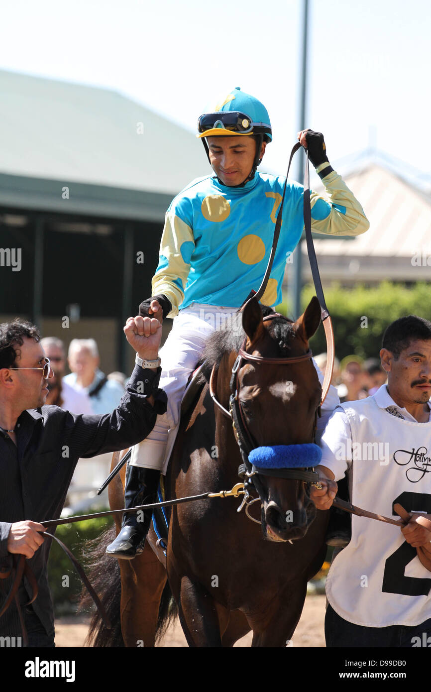 Giugno 14, 2013 - Inglewood, CA, Stati Uniti - Il miracolo del cavallo con Paynter Rafael Bejarano a bordo vince la sua prima gara di nuovo in un assegno gara a Betfair Hollywood Park a Inglewood, la California il 14 giugno 2013. (Credito Immagine: © Zoe Metz/Eclipse Sportswire/eclipse/ZUMAPRESS.com) Foto Stock