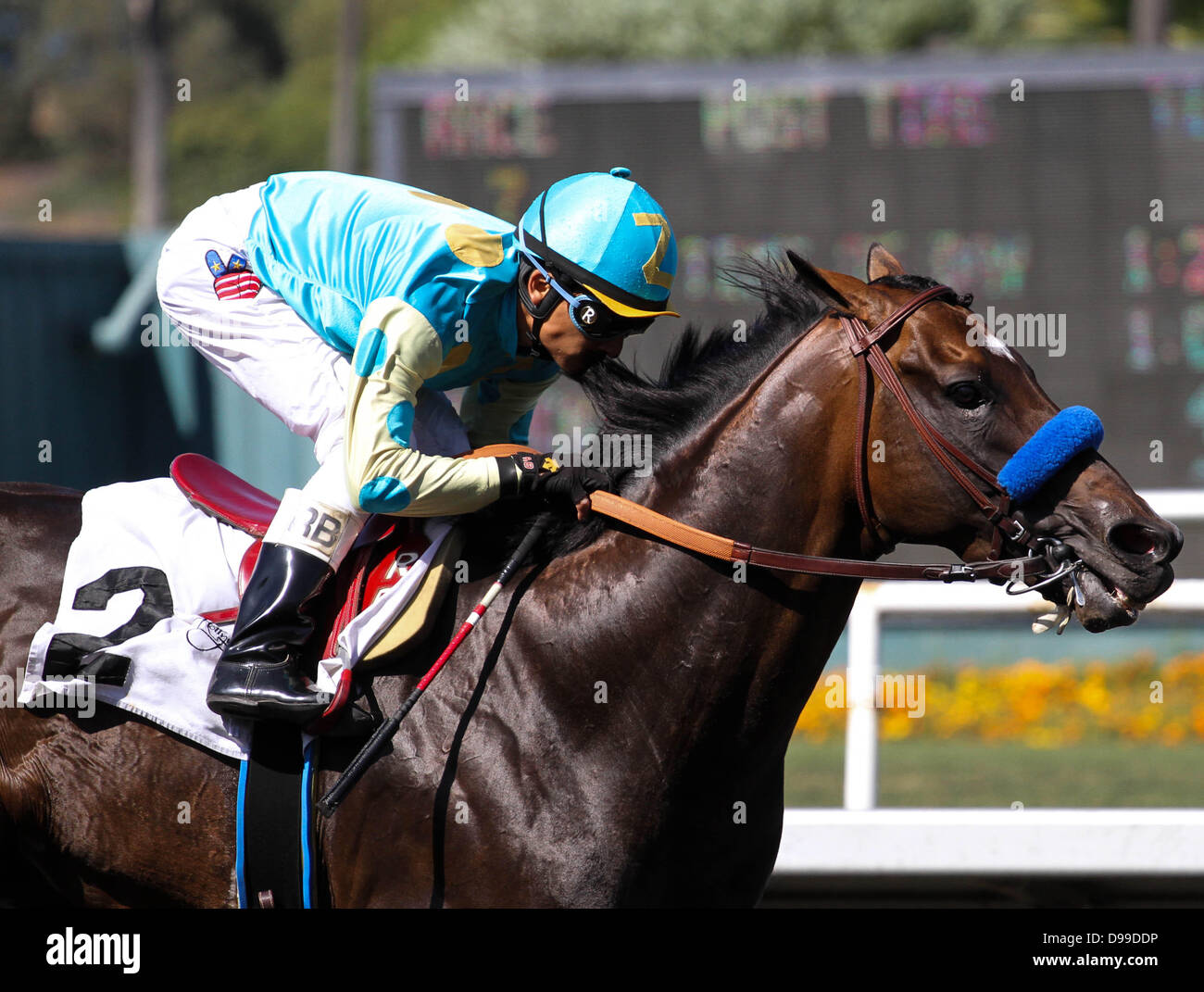 Giugno 14, 2013 - Inglewood, CA, Stati Uniti - Il miracolo del cavallo con Paynter Rafael Bejarano a bordo vince la sua prima gara di nuovo in un assegno gara a Betfair Hollywood Park a Inglewood, la California il 14 giugno 2013. (Credito Immagine: © Zoe Metz/Eclipse Sportswire/eclipse/ZUMAPRESS.com) Foto Stock