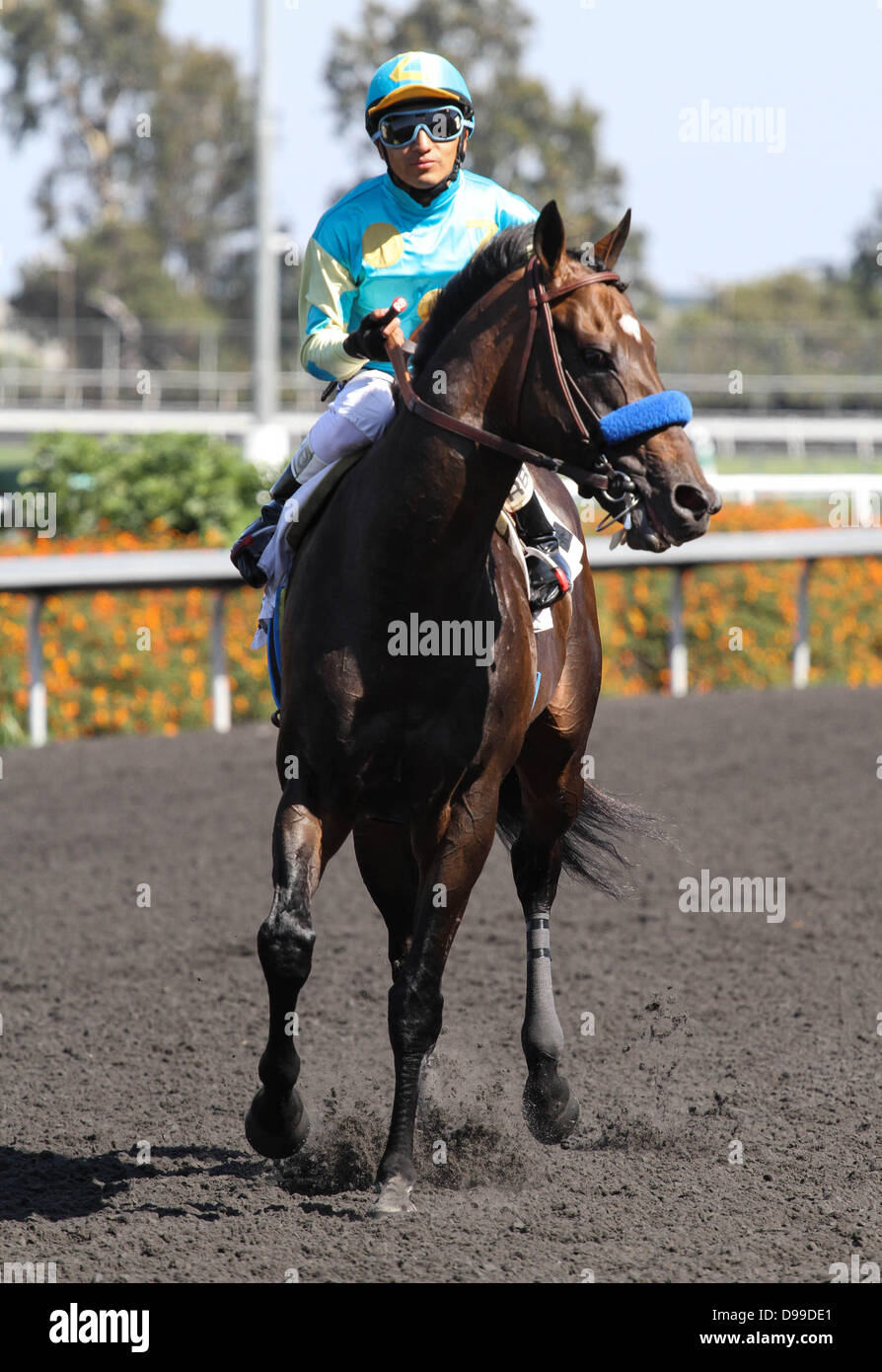 Giugno 14, 2013 - Inglewood, CA, Stati Uniti - Il miracolo del cavallo con Paynter Rafael Bejarano a bordo vince la sua prima gara di nuovo in un assegno gara a Betfair Hollywood Park a Inglewood, la California il 14 giugno 2013. (Credito Immagine: © Zoe Metz/Eclipse Sportswire/eclipse/ZUMAPRESS.com) Foto Stock