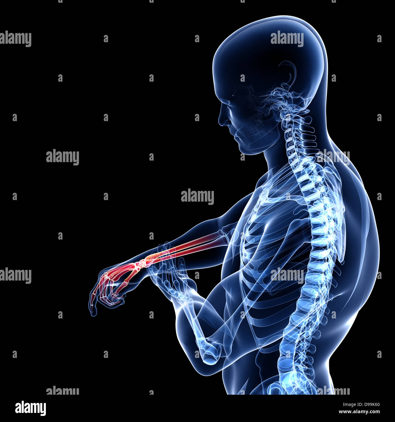 Anatomia della mano maschio x-ray Foto Stock