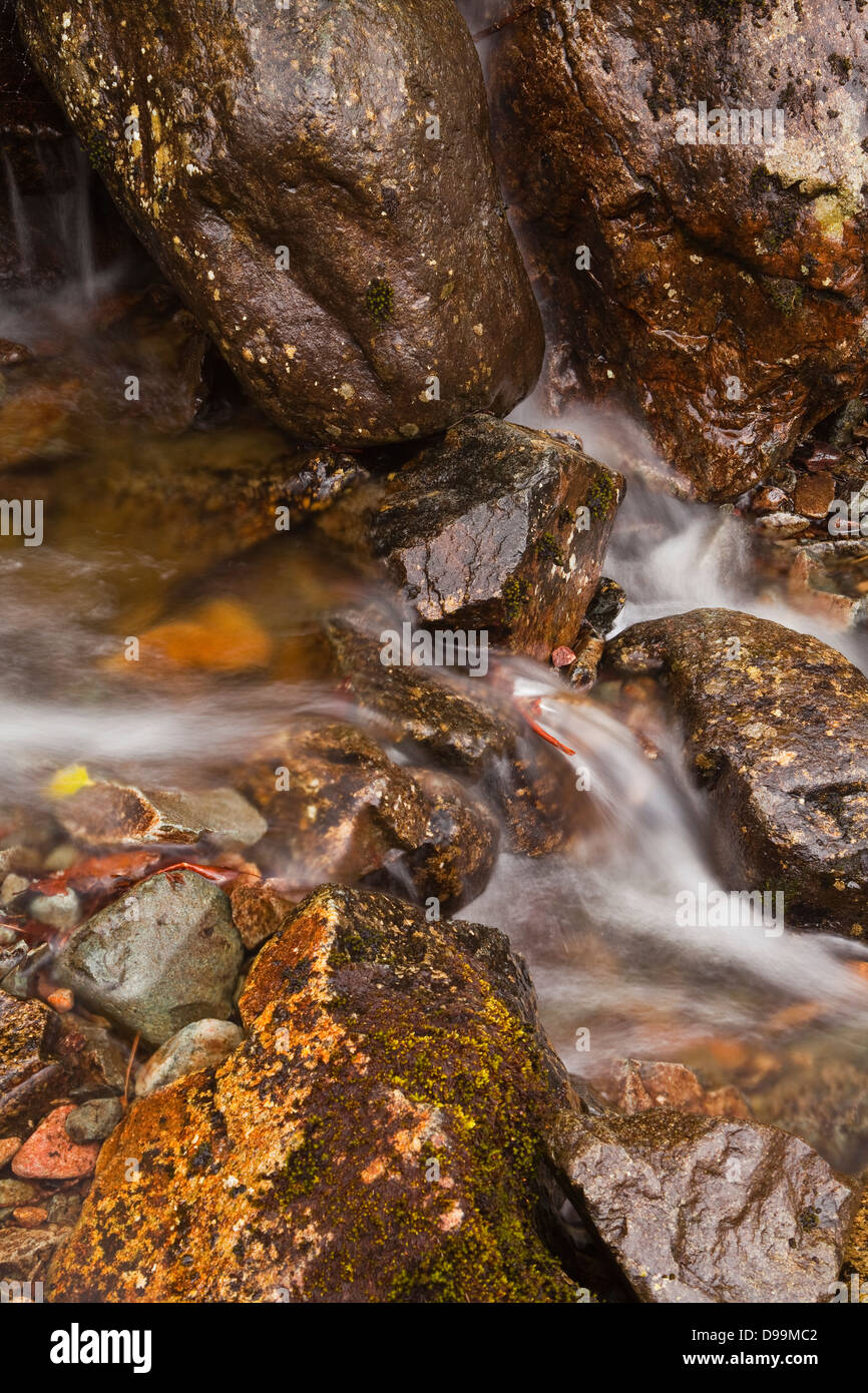 Willygrass Gill cascata in The Borrowdale vallata del Parco Nazionale del Distretto dei Laghi. Foto Stock
