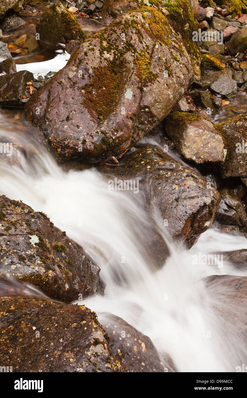Willygrass Gill cascata in The Borrowdale vallata del Parco Nazionale del Distretto dei Laghi. Foto Stock
