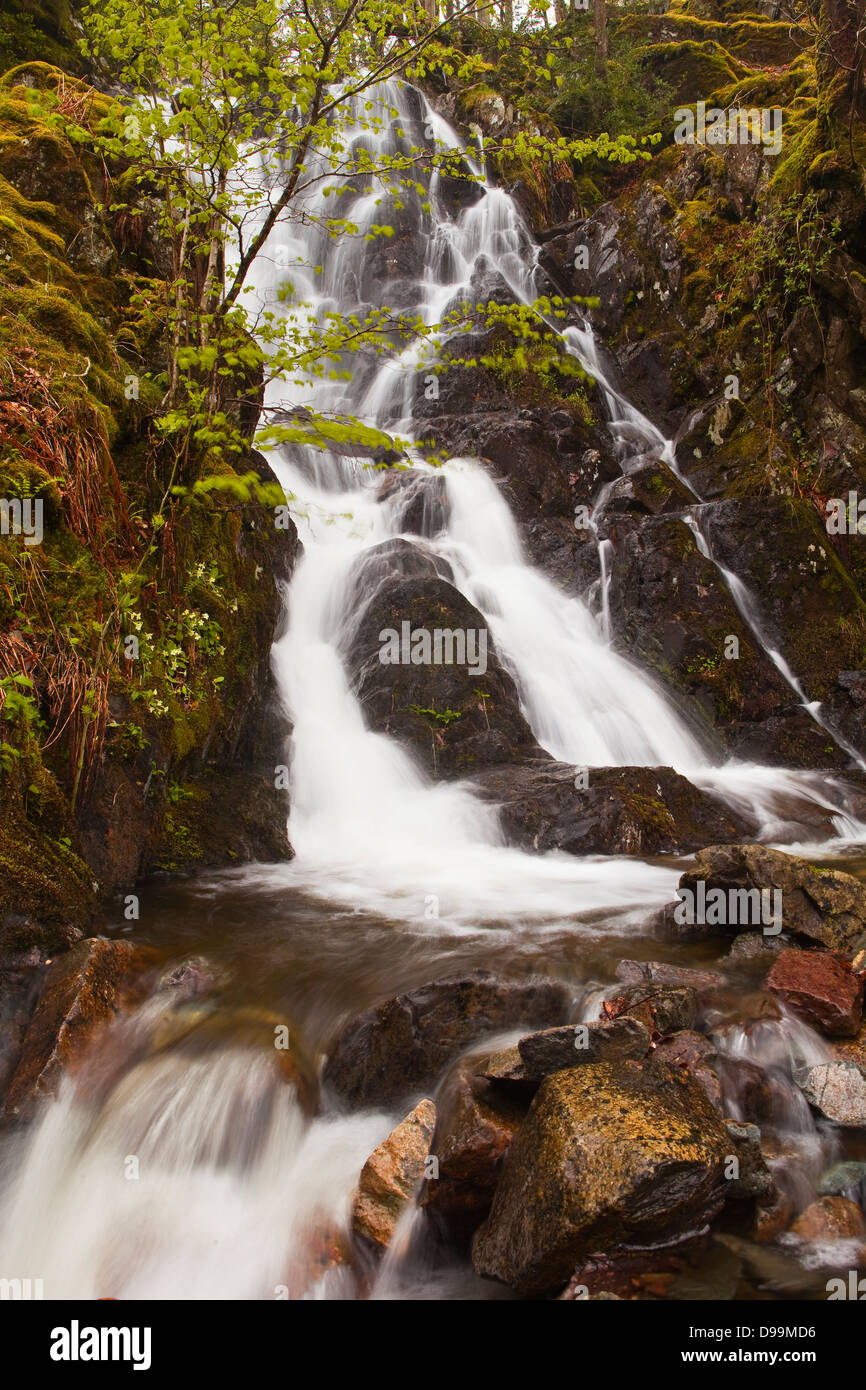 Willygrass Gill cascata in The Borrowdale vallata del Parco Nazionale del Distretto dei Laghi. Foto Stock