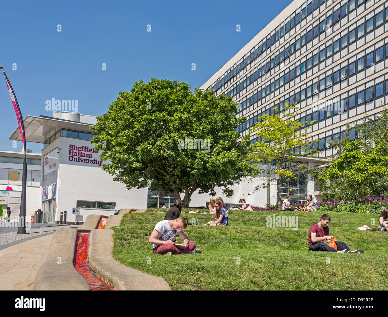 Sheffield Hallam University gli studenti che studiano all'aperto Foto Stock