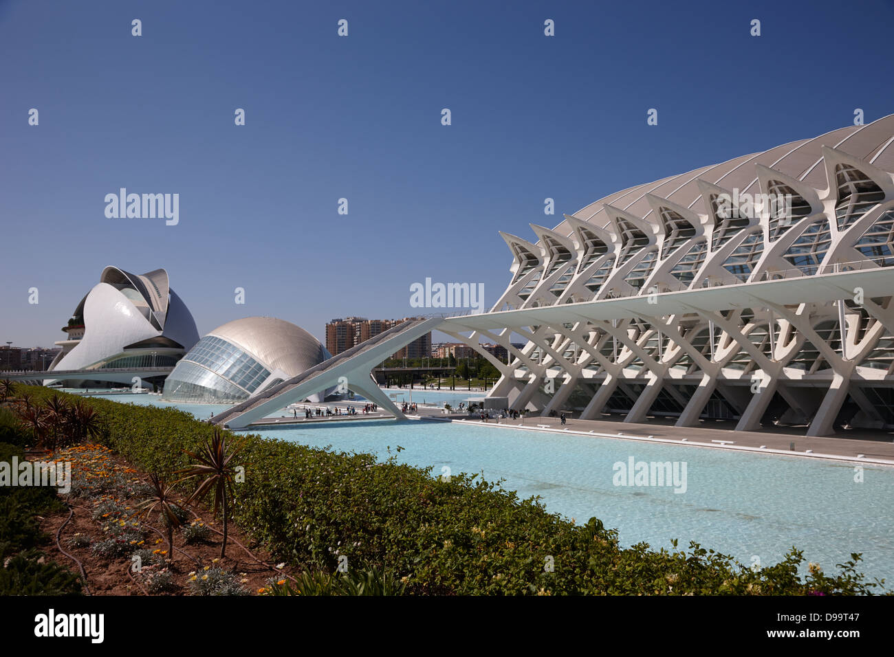 El Museu de les Ciencies principe Felipe città delle arti e delle scienze Ciutat de les Arts i les Ciencies valencia spagna Foto Stock