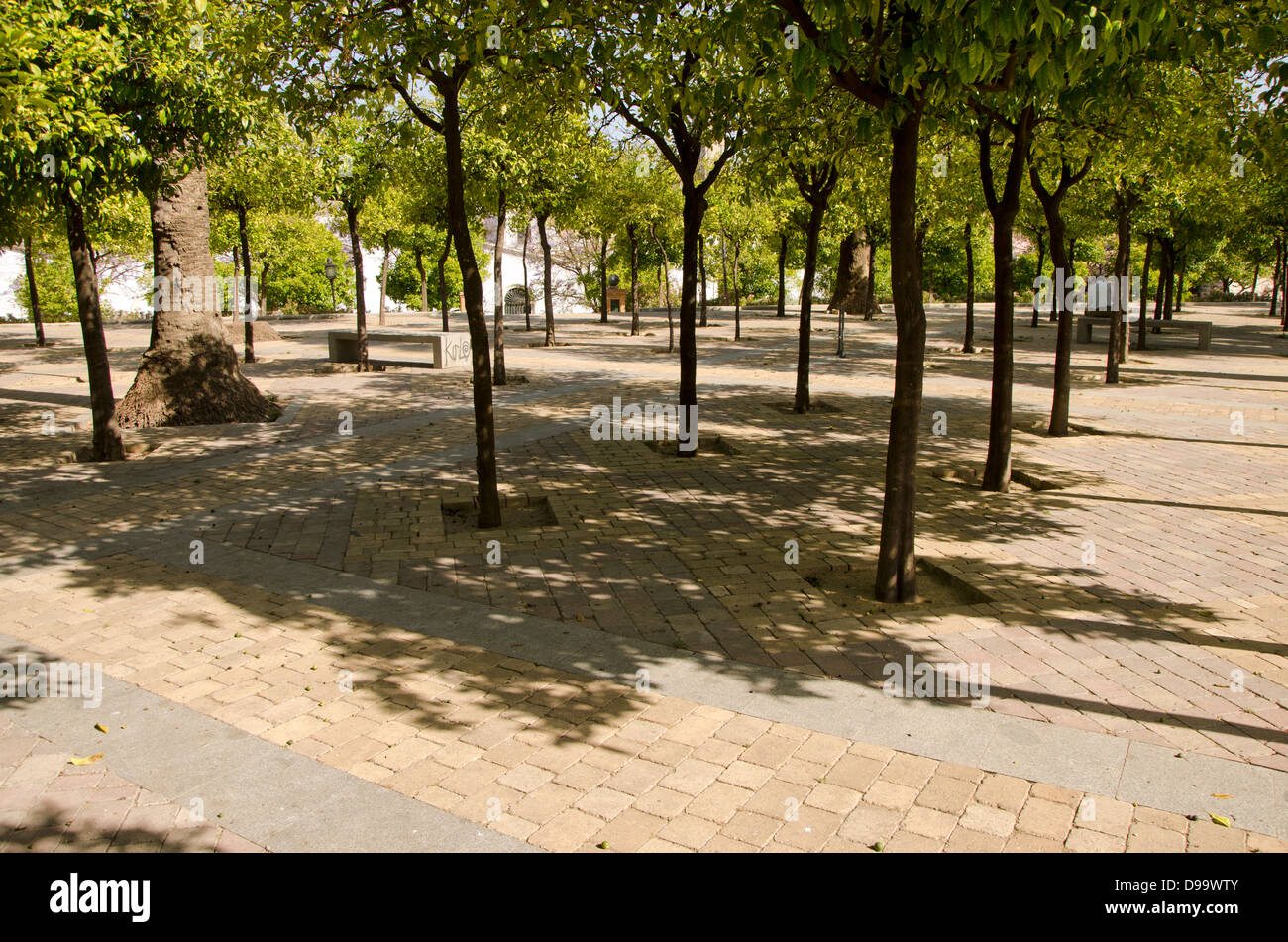 Piazza di Spagna con gli alberi dietro la Cattedrale di Jerez, Jerez de la frontera, la provincia di Cadiz Cadice, Spagna. Foto Stock