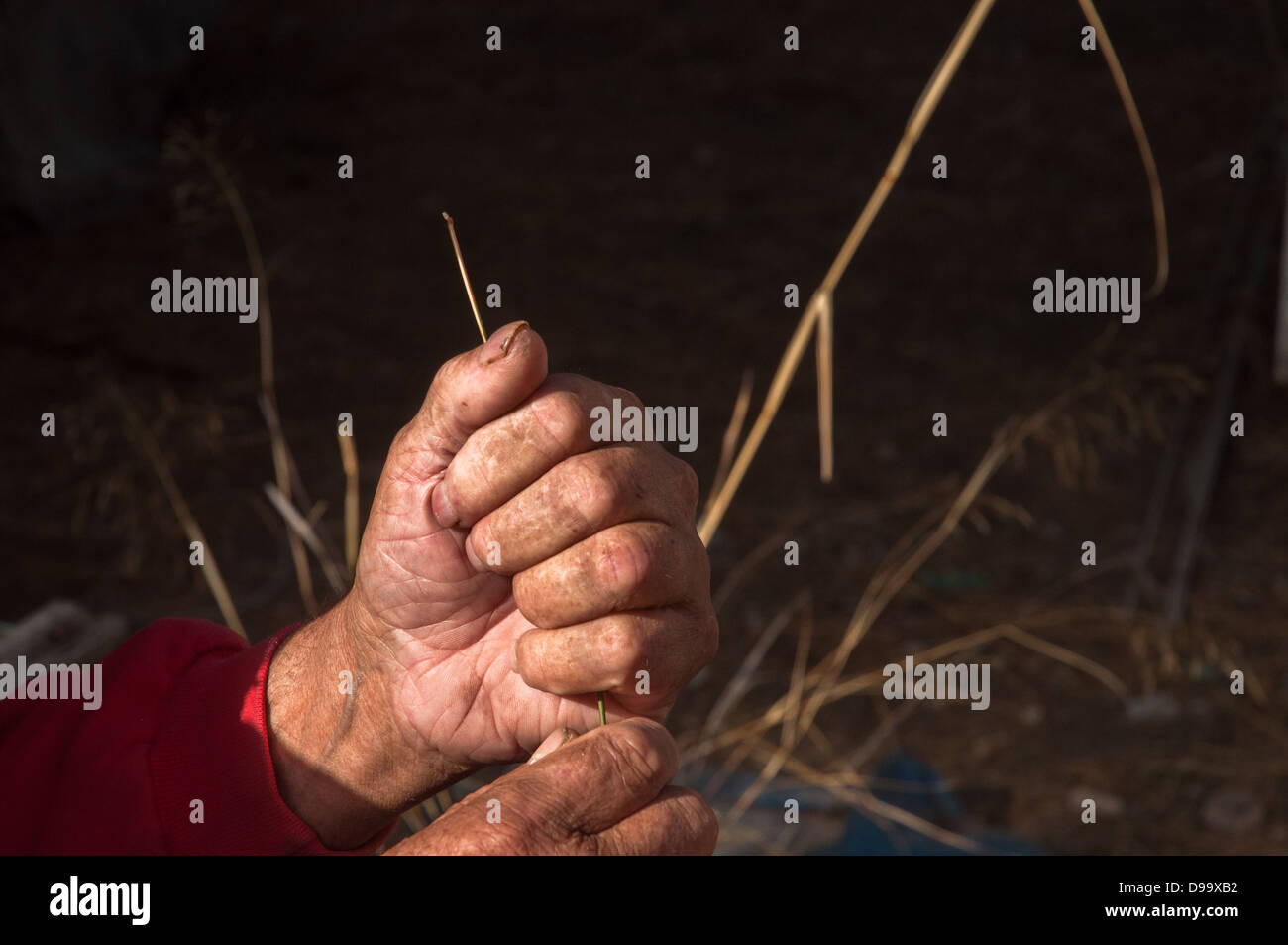 Gesti di un artigiano Foto Stock