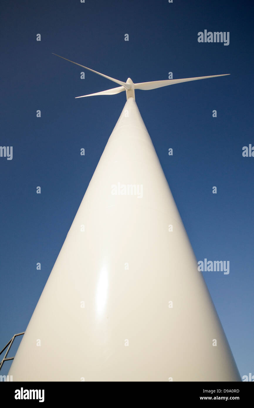 Vento, verde, alimentazione, turbina, inventiva, paesaggio, ricino, Alberta, progetto di energia eolica, energia pulita, energia, Alberta, Canada, Agriturismo, w Foto Stock