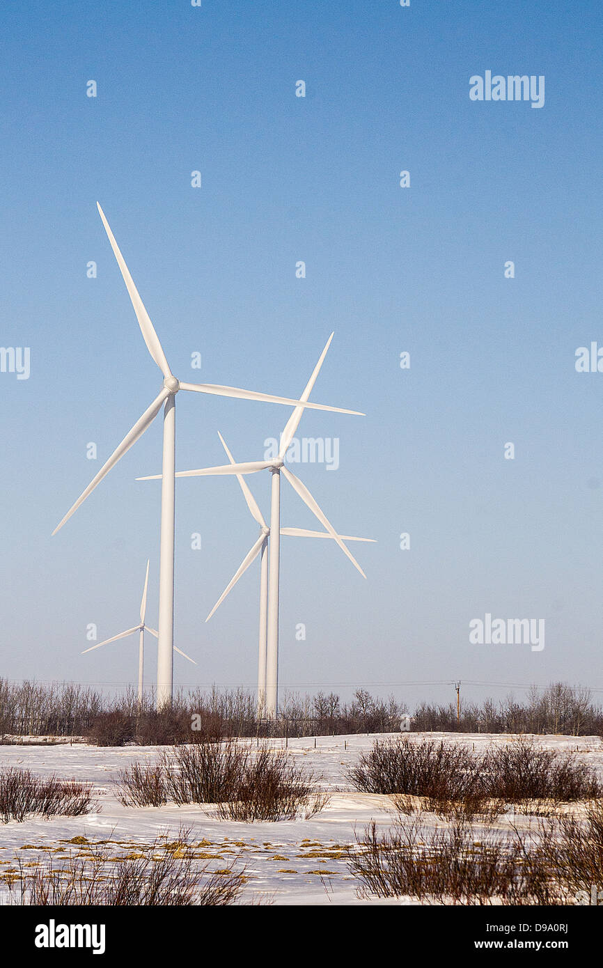Vento, verde, alimentazione, turbina, inventiva, paesaggio, ricino, Alberta, progetto di energia eolica, energia pulita, energia, Alberta, Canada, Agriturismo, w Foto Stock