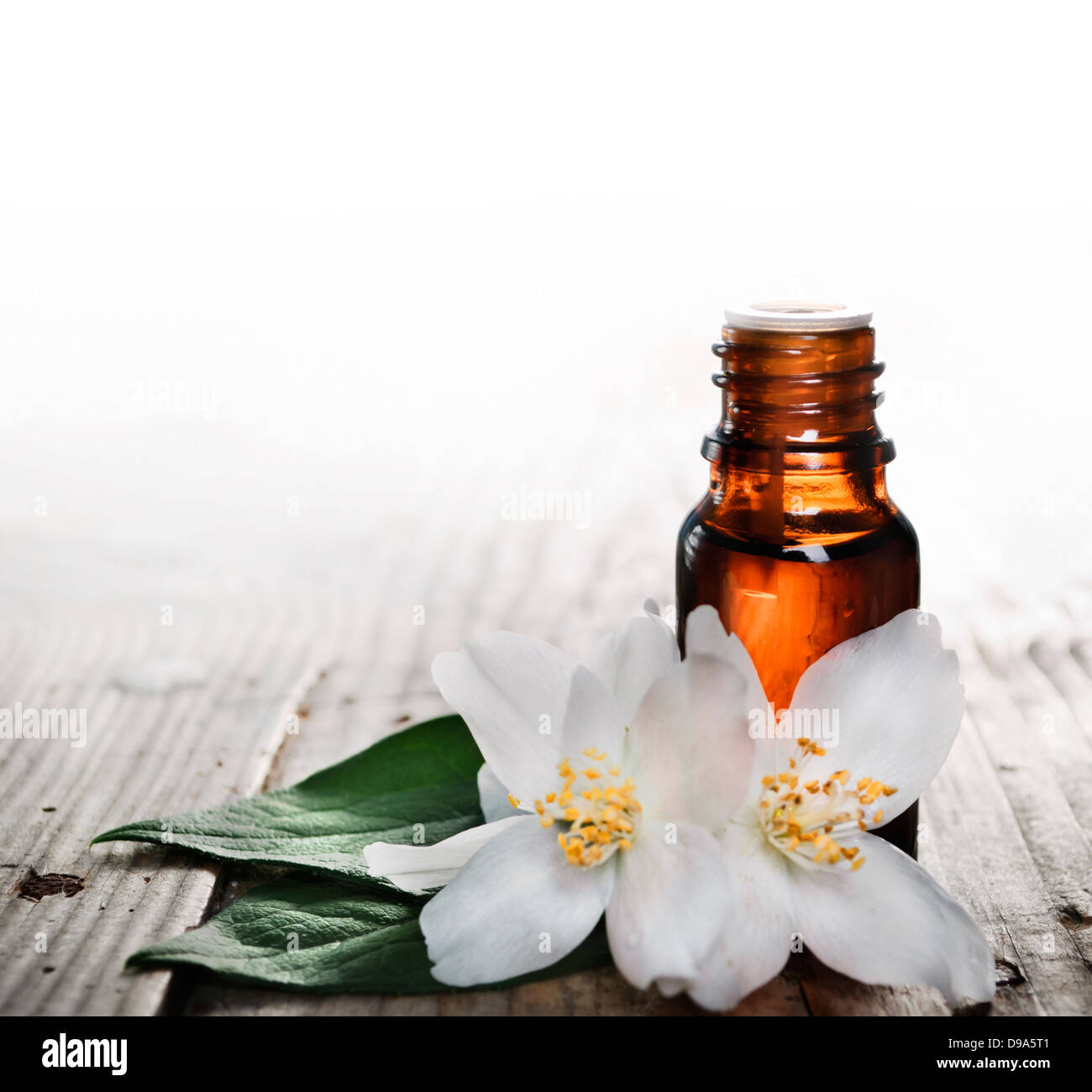 Olio essenziale di fiori di gelsomino sul tavolato in legno Foto Stock
