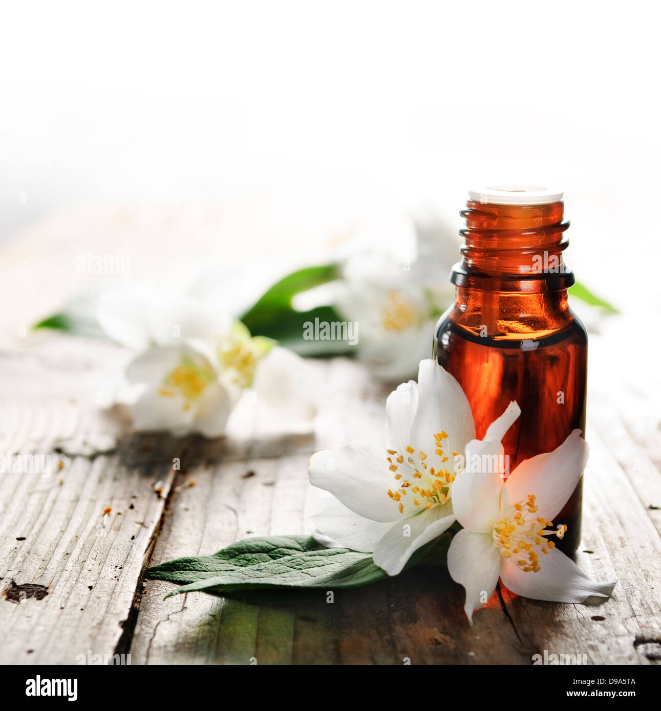 Olio essenziale di fiori di gelsomino sul tavolato in legno Foto Stock