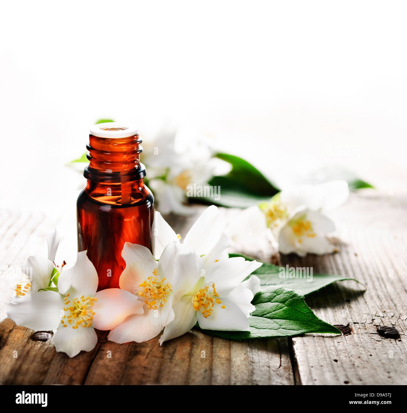 Olio essenziale di fiori di gelsomino sul tavolato in legno Foto Stock