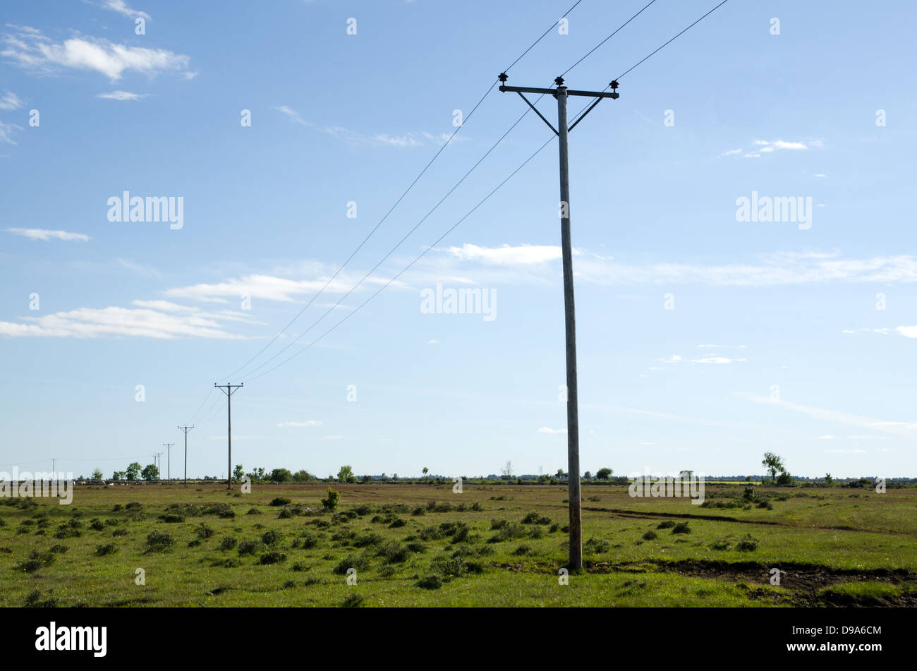 Le linee elettriche in una pianura prateria sull'isola Oland in Svezia Foto Stock