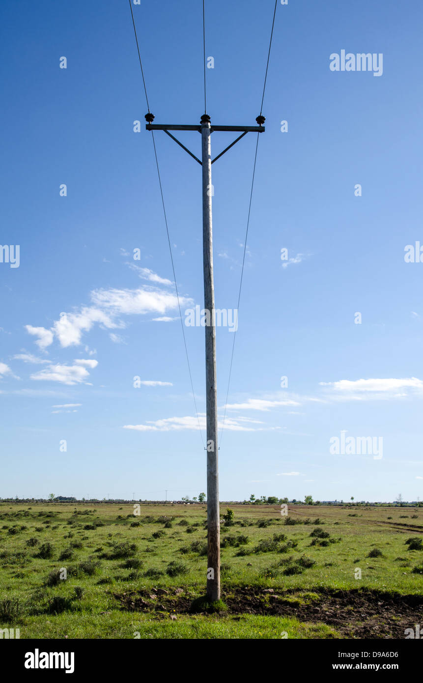 Le linee elettriche attraverso una prateria agricola presso l'isola Oland in Svezia. Foto Stock