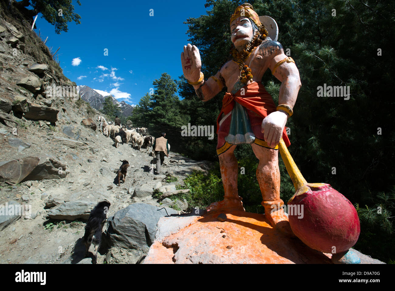 Un Gaddi tribesman conduce il suo gregge di capre per i pascoli alti di Himalayan Budhil valley in Himachal Pradesh, India Foto Stock