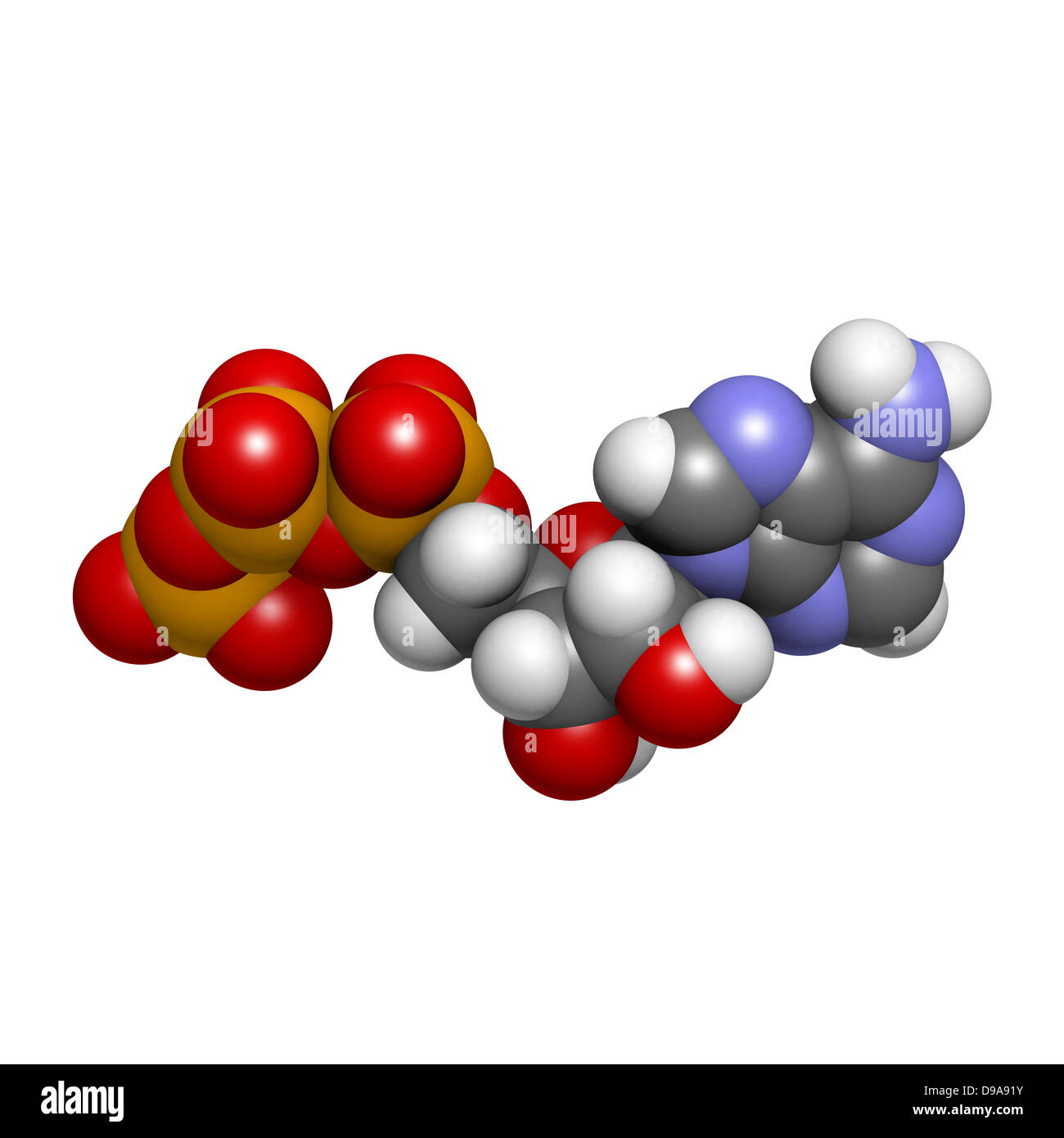 L'adenosina trifosfato (ATP) energia trasporti molecola, struttura chimica. Foto Stock