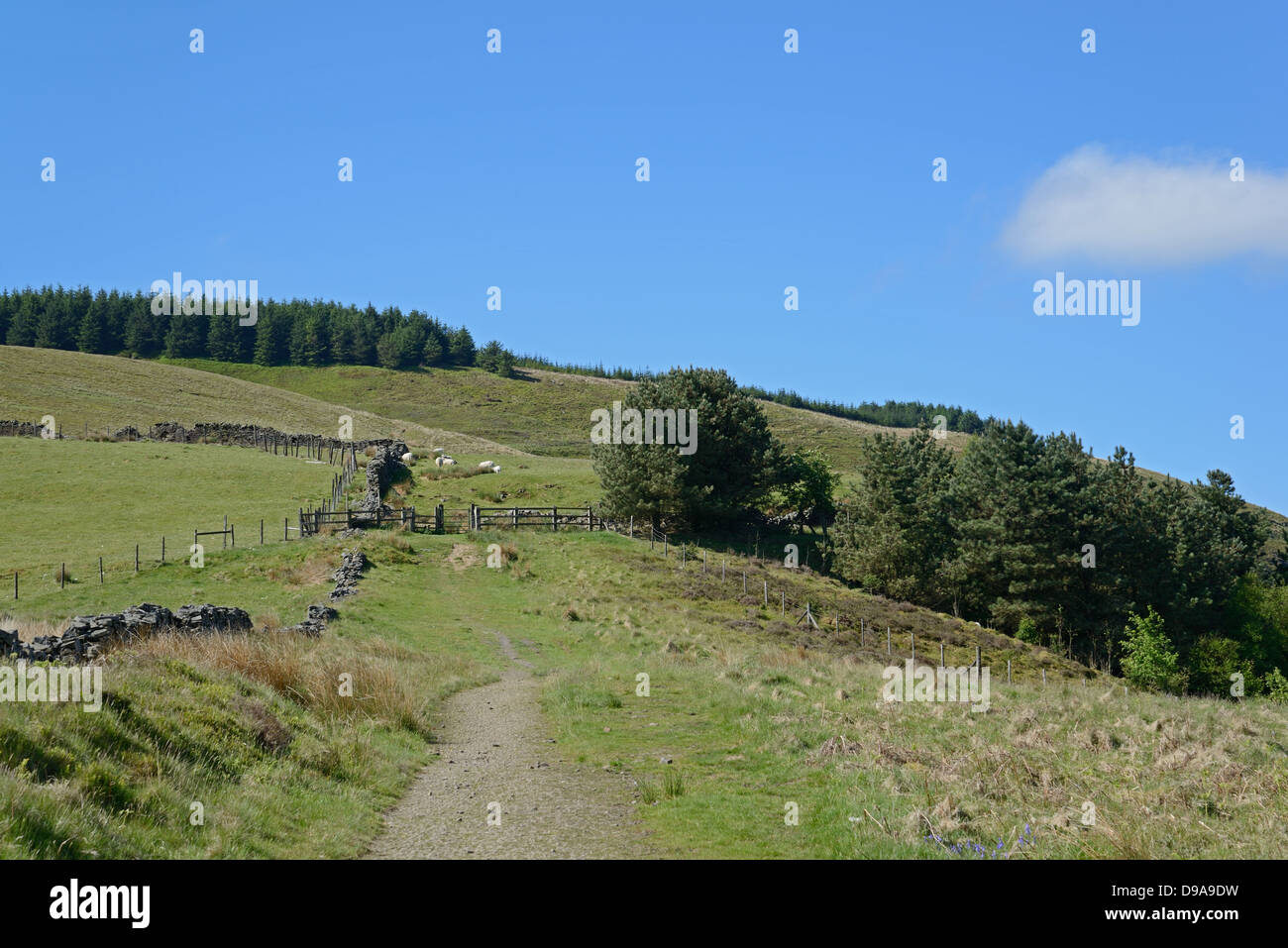 Il percorso che conduce fino alla cima di una collina con pietra a secco a fianco della parete Foto Stock