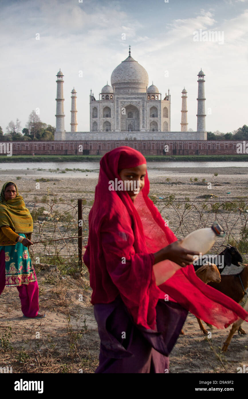 Con la mitica Taj Mahal come sfondo, donne locali allevamento le loro capre lungo la pista sulla riva nord. Foto Stock