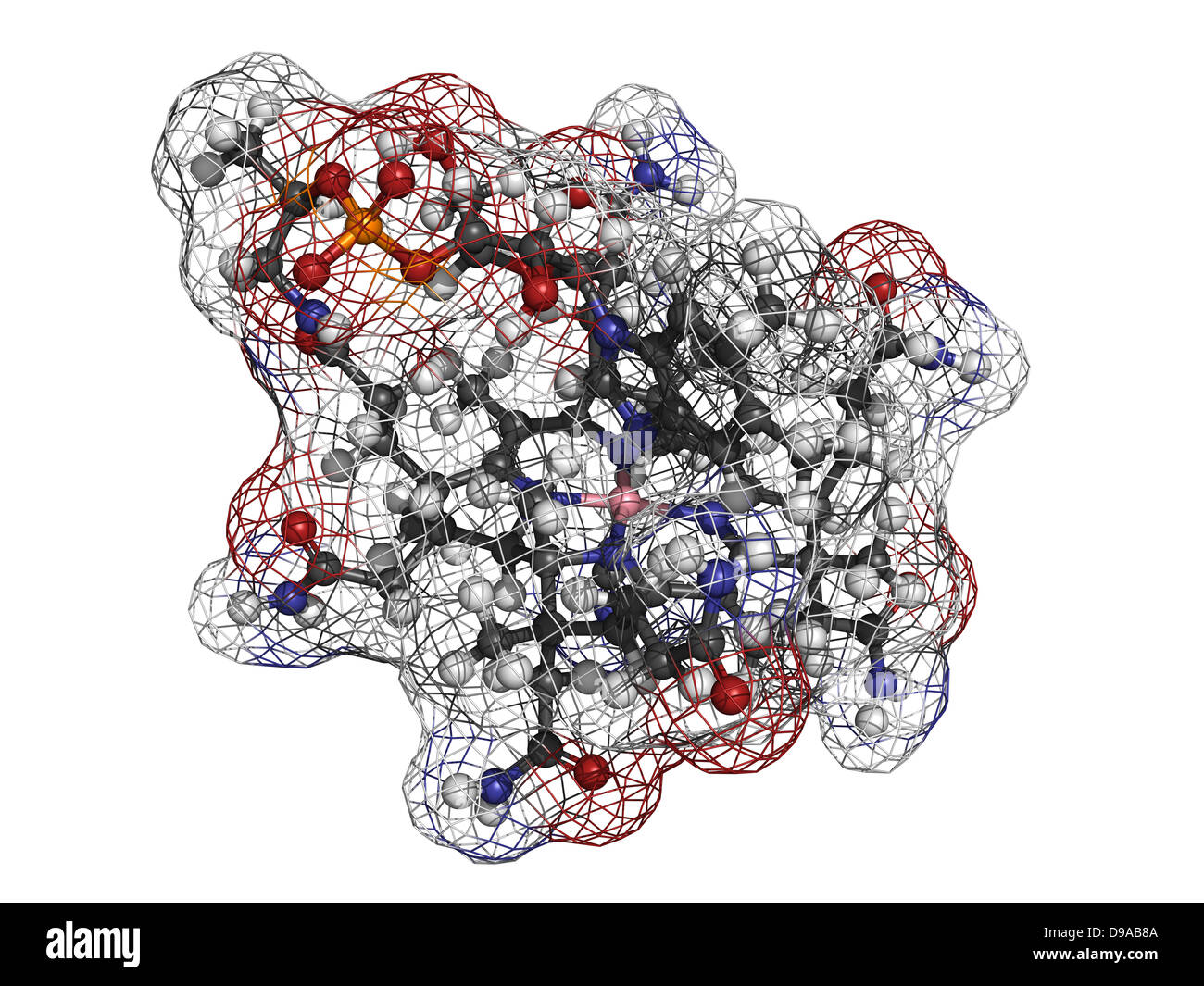 La vitamina B12 (cianocobalamina), modello molecolare. Gli atomi sono rappresentati come sfere convenzionale con codifica a colori Foto Stock