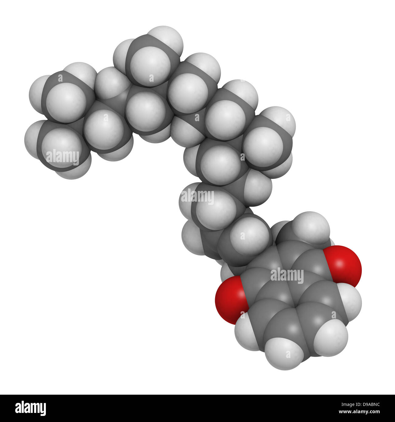 La vitamina K1 (phylloquinone), modello molecolare. Gli atomi sono rappresentati come sfere convenzionale con codifica a colori. Foto Stock