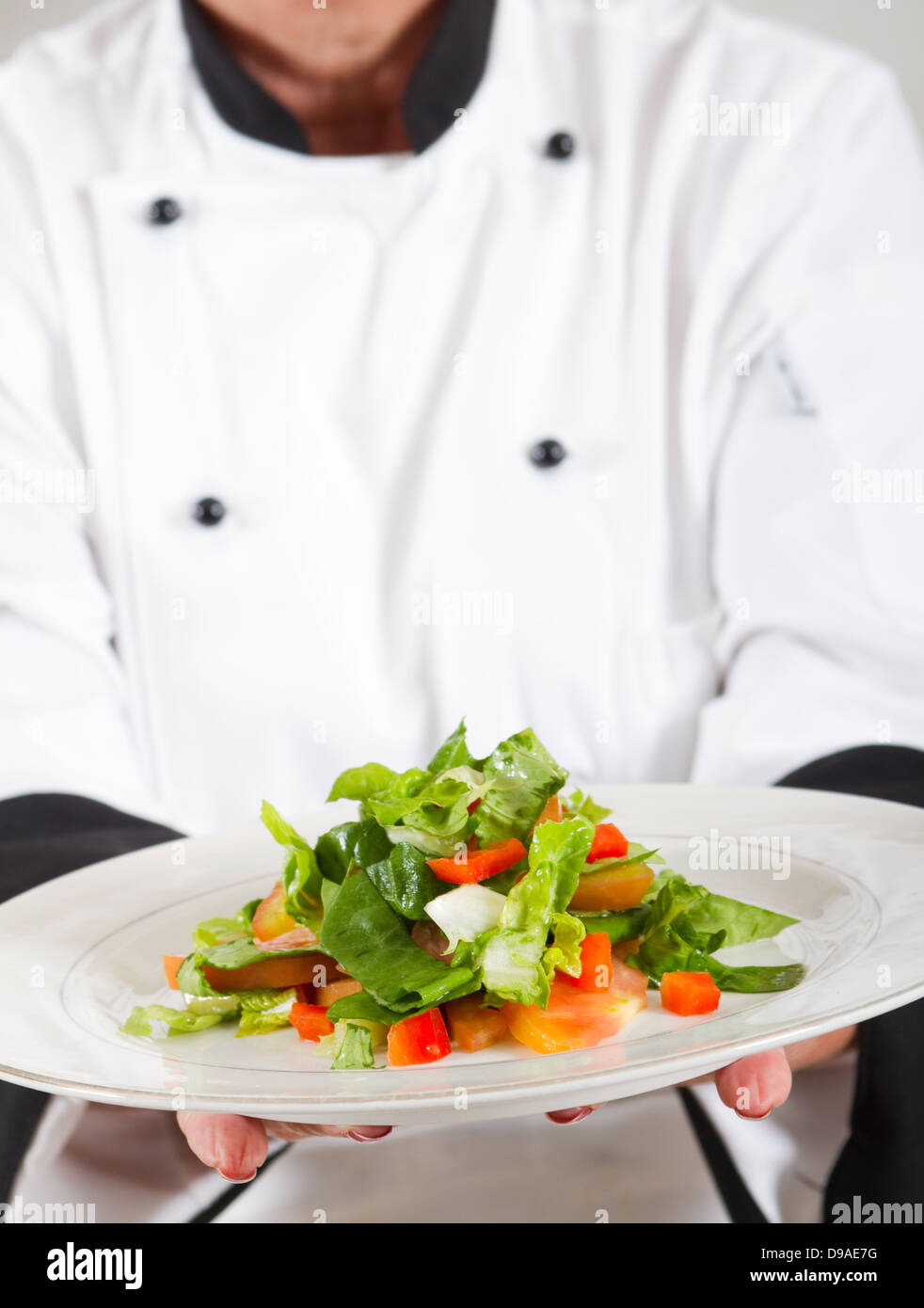 Professionale chef insalata di presentazione Foto Stock