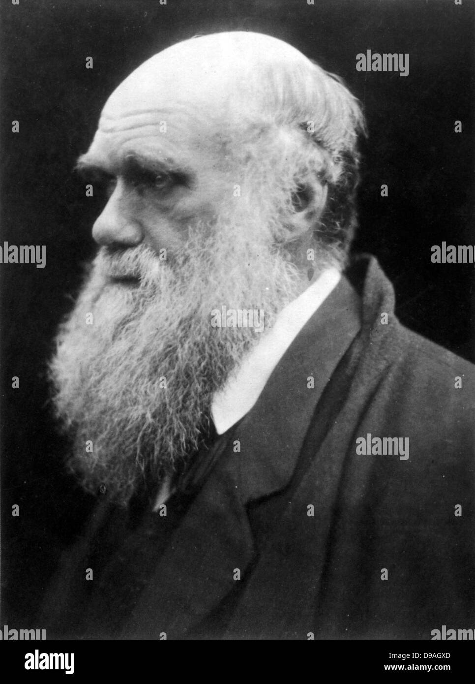 Charles Darwin Foto Stock