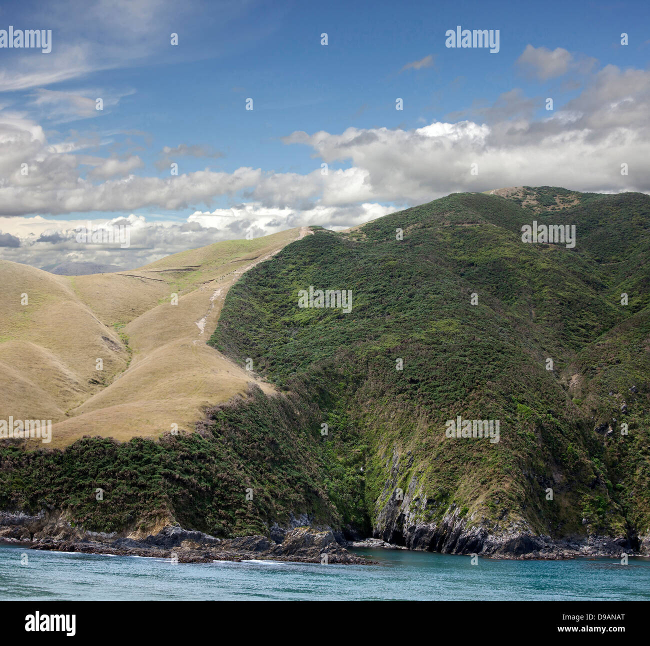 Nuova Zelanda - Costa linea di rocce, Isola del Sud Foto Stock