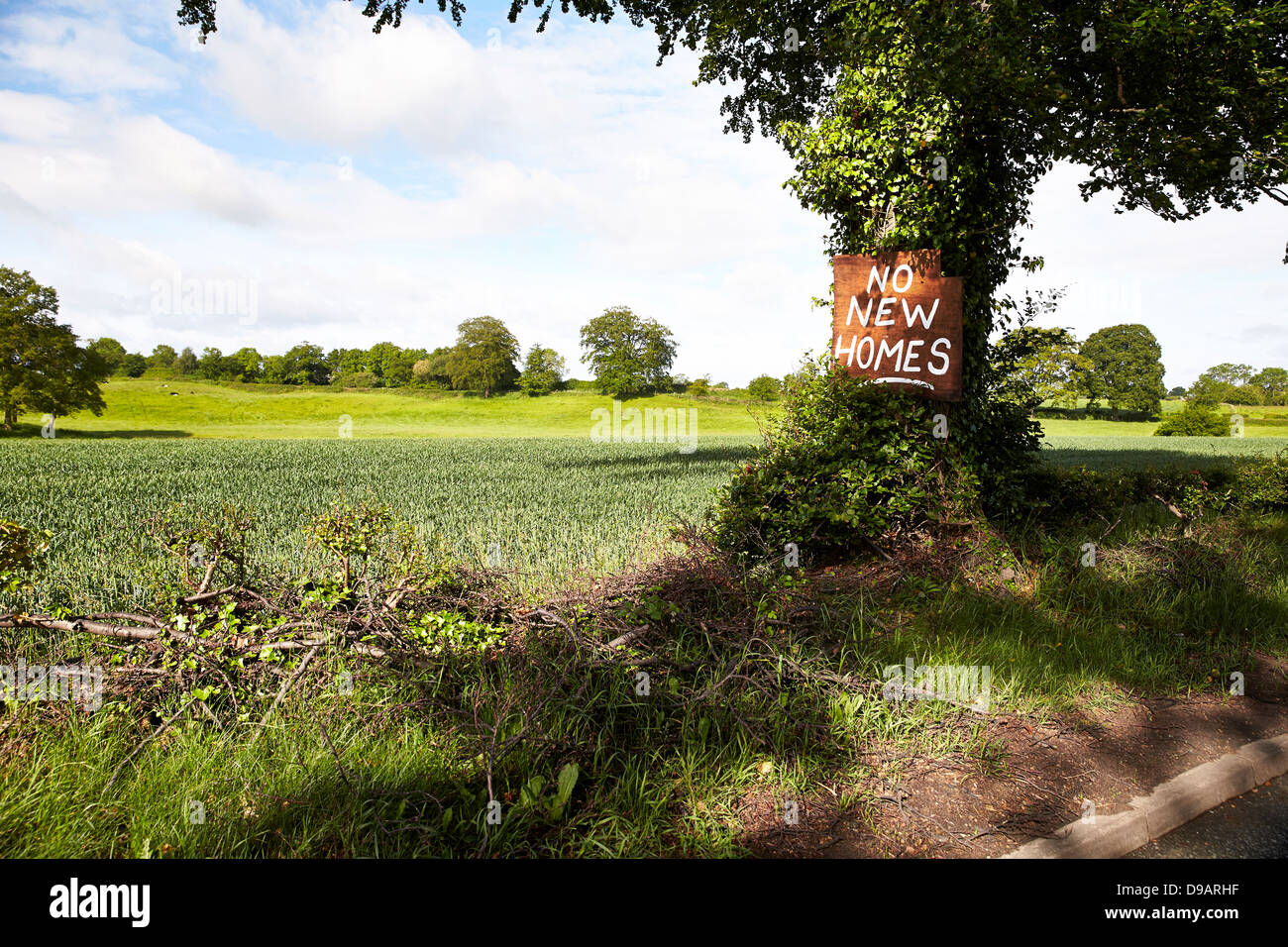 Nessun nuovo case segno di protesta sul bordo della greenbelt terra, Congleton, Cheshire. Il terreno coltivabile è contrassegnata per il nuovo sviluppo di alloggiamento Foto Stock