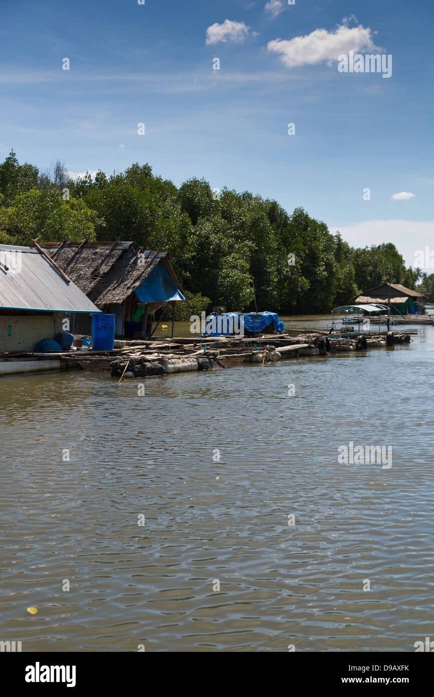 Argine del Fiume Nam Pak Krabi in Thailandia Foto Stock