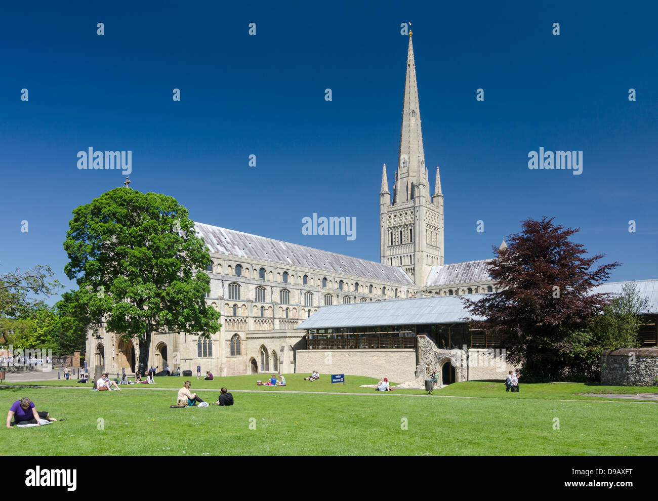 Cattedrale di Norwich Norfolk England Regno Unito Foto Stock