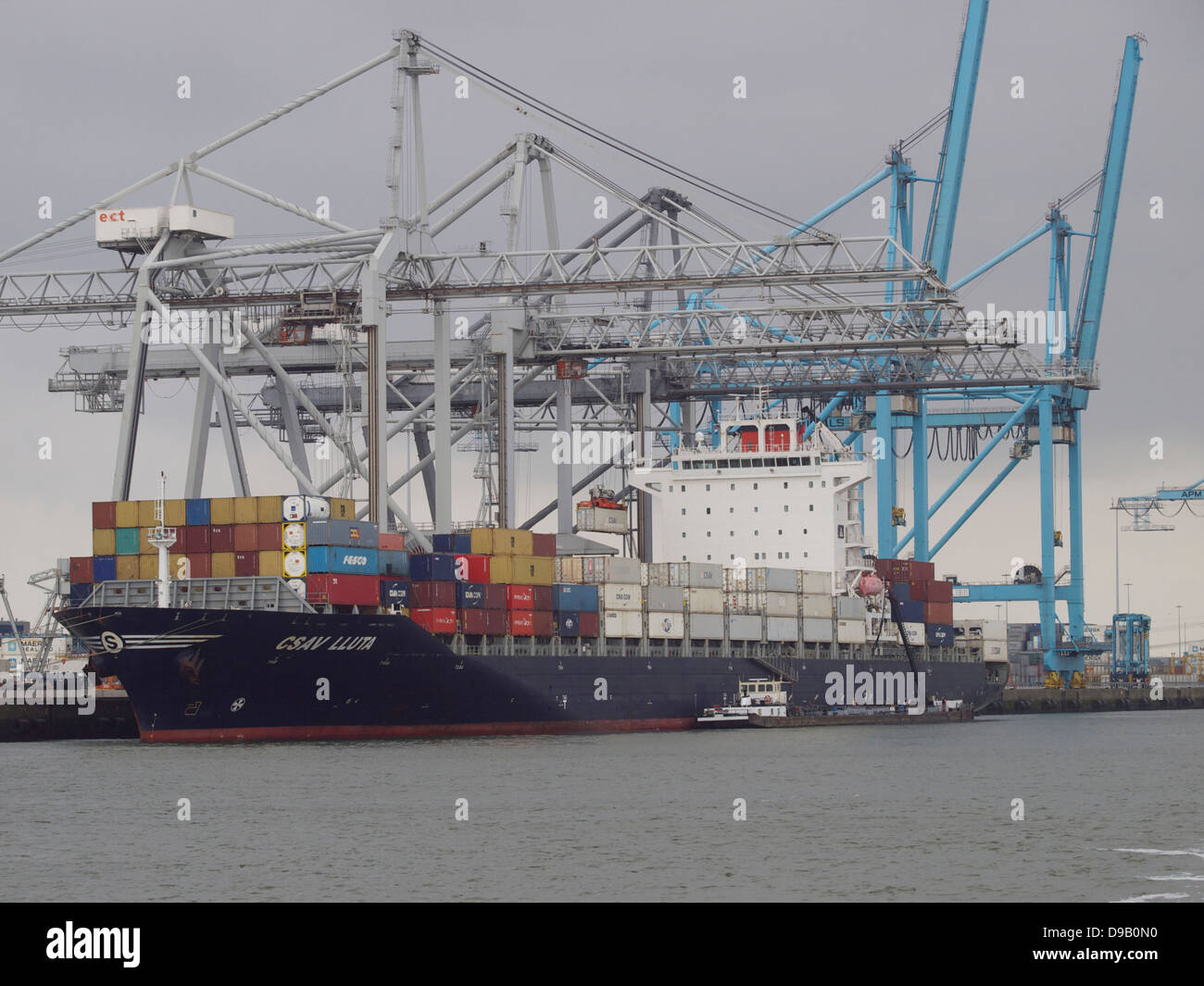 ECT terminal per container sul Maasvlakte 2 nel porto di Rotterdam, Paesi Bassi Foto Stock