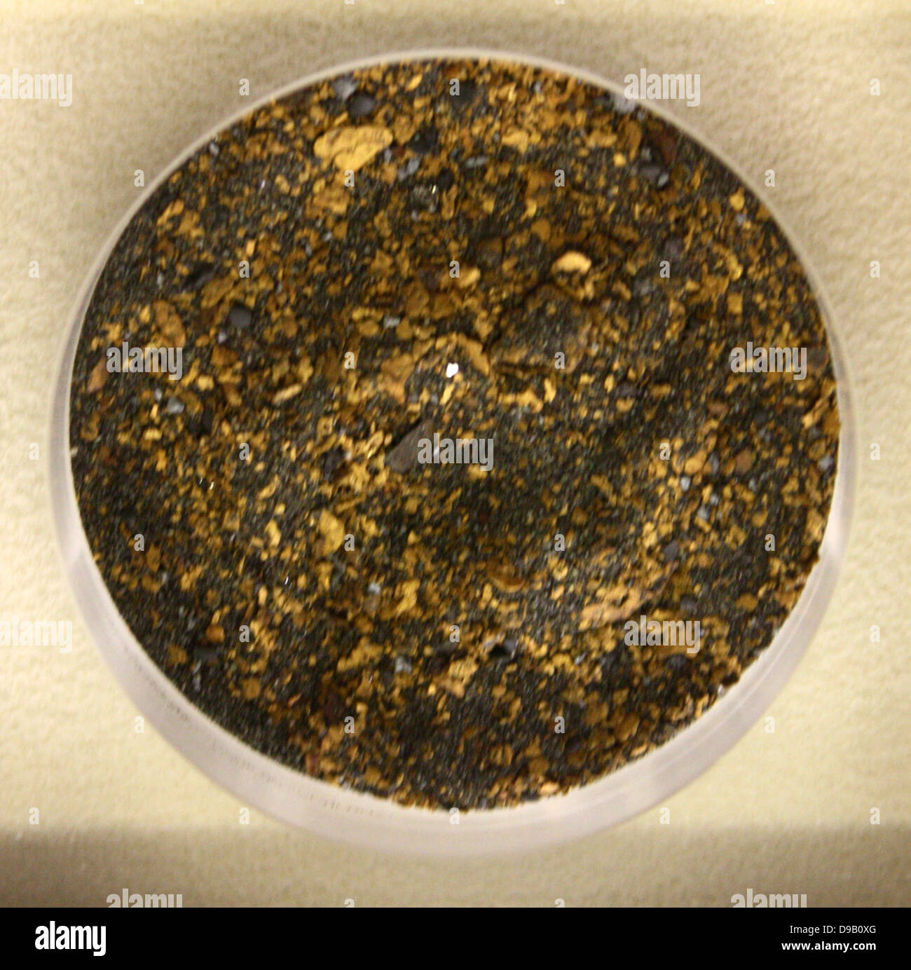Polvere d oro tra gli altri minerali pesanti. Fiume Mawddach, Gwynedd, Galles. Foto Stock