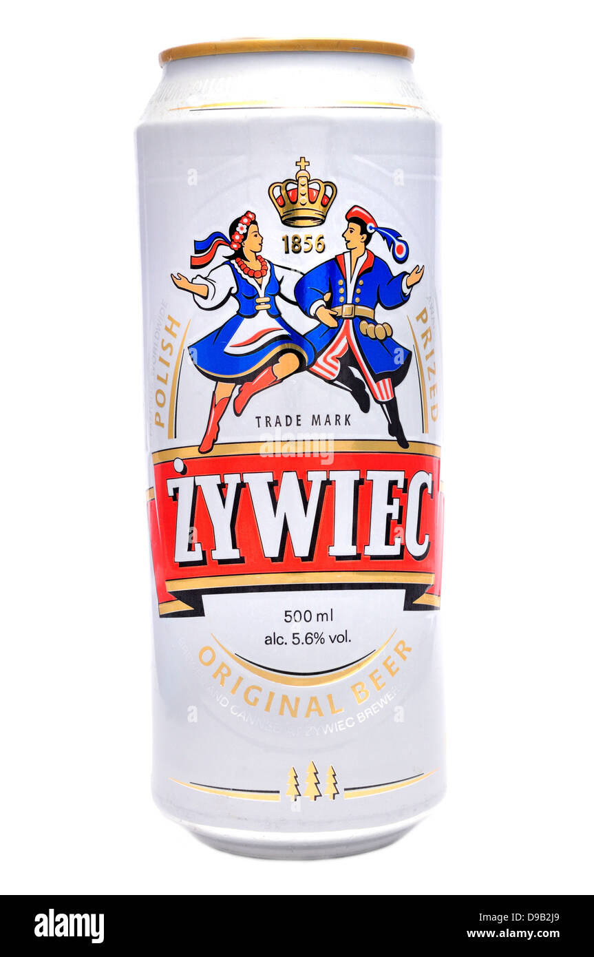 La birra può: Polacco "Zywiec' Foto Stock