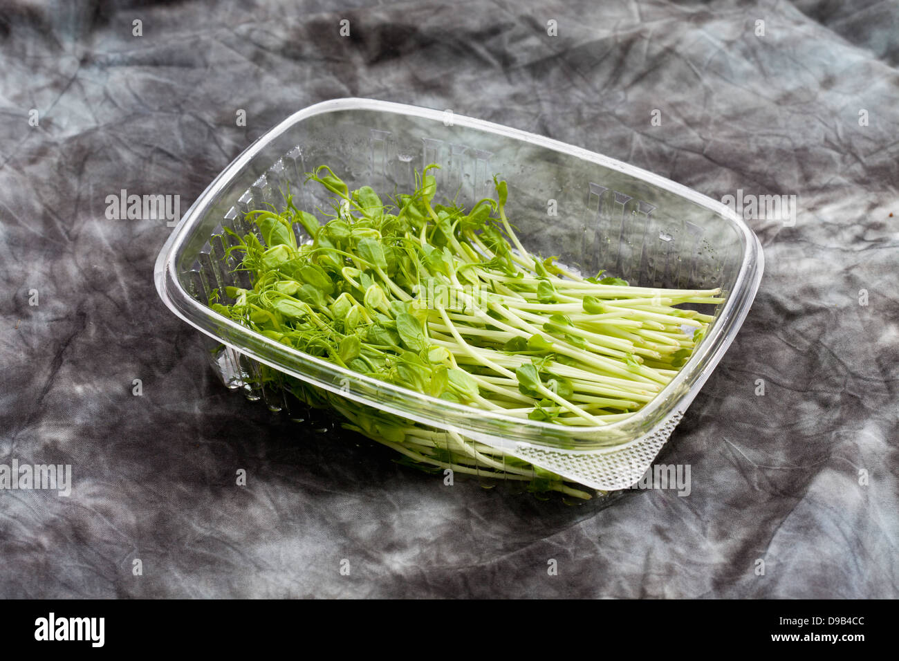 Piselli tendrills verde in contenitore di plastica, close up Foto Stock