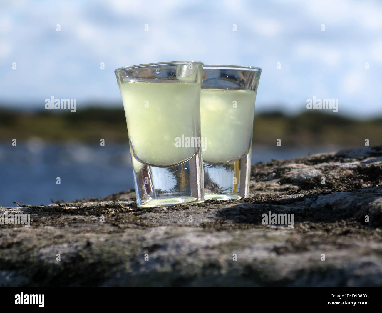 Due bicchierini di limoncello Foto Stock