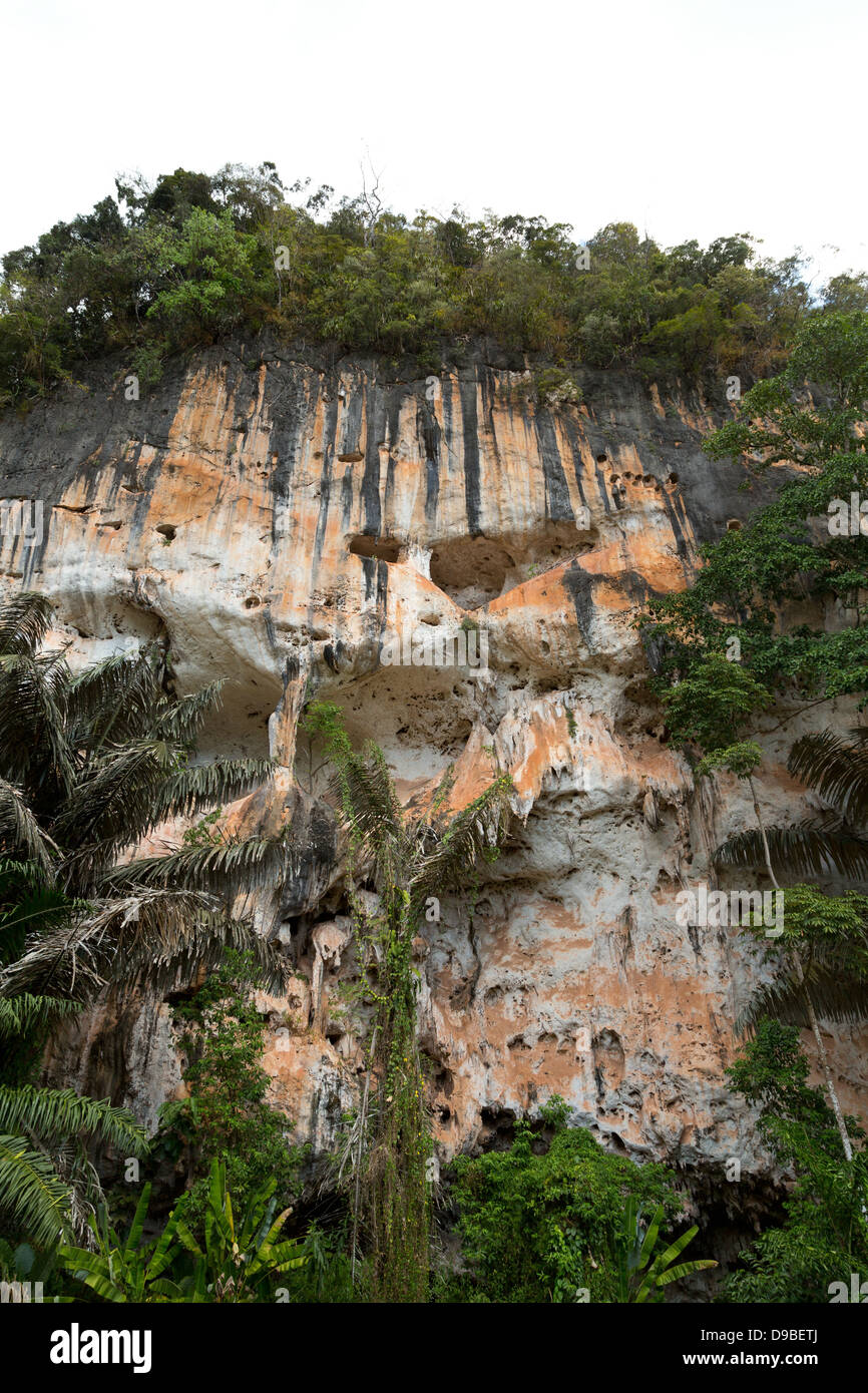 Roccia carsica vicino a Krabi in Thailandia Foto Stock