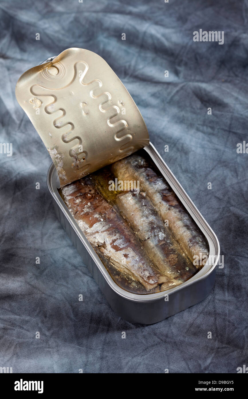 Possono le sardine in olio su tessuto Foto Stock