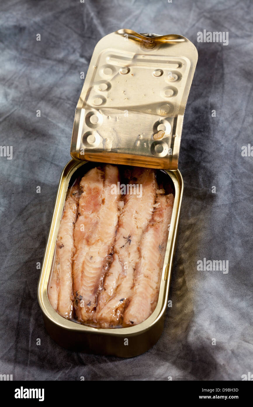 Possono le sardine filltes in olio su tessuto Foto Stock
